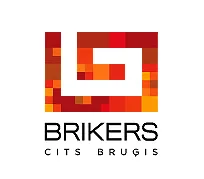 ypatingų akmens trinkelių